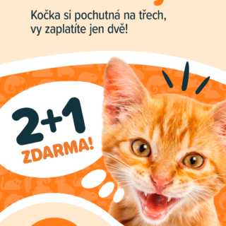 KOČKA 2+1 ZDARMA🐱