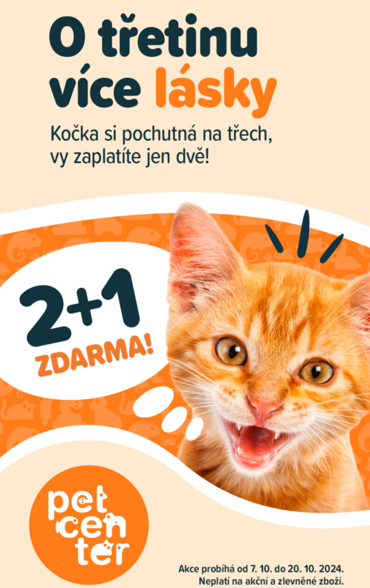 KOČKA 2+1 ZDARMA🐱