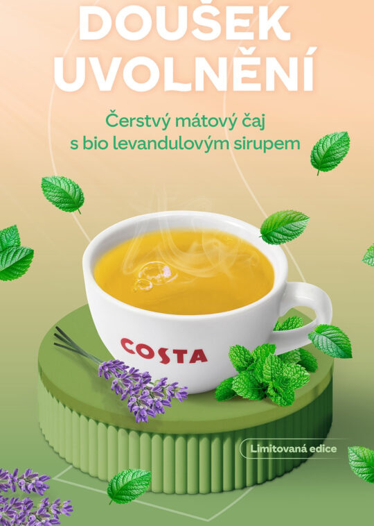 🍵🍃Čerstvý mátový čaj s levandulovým sirupem